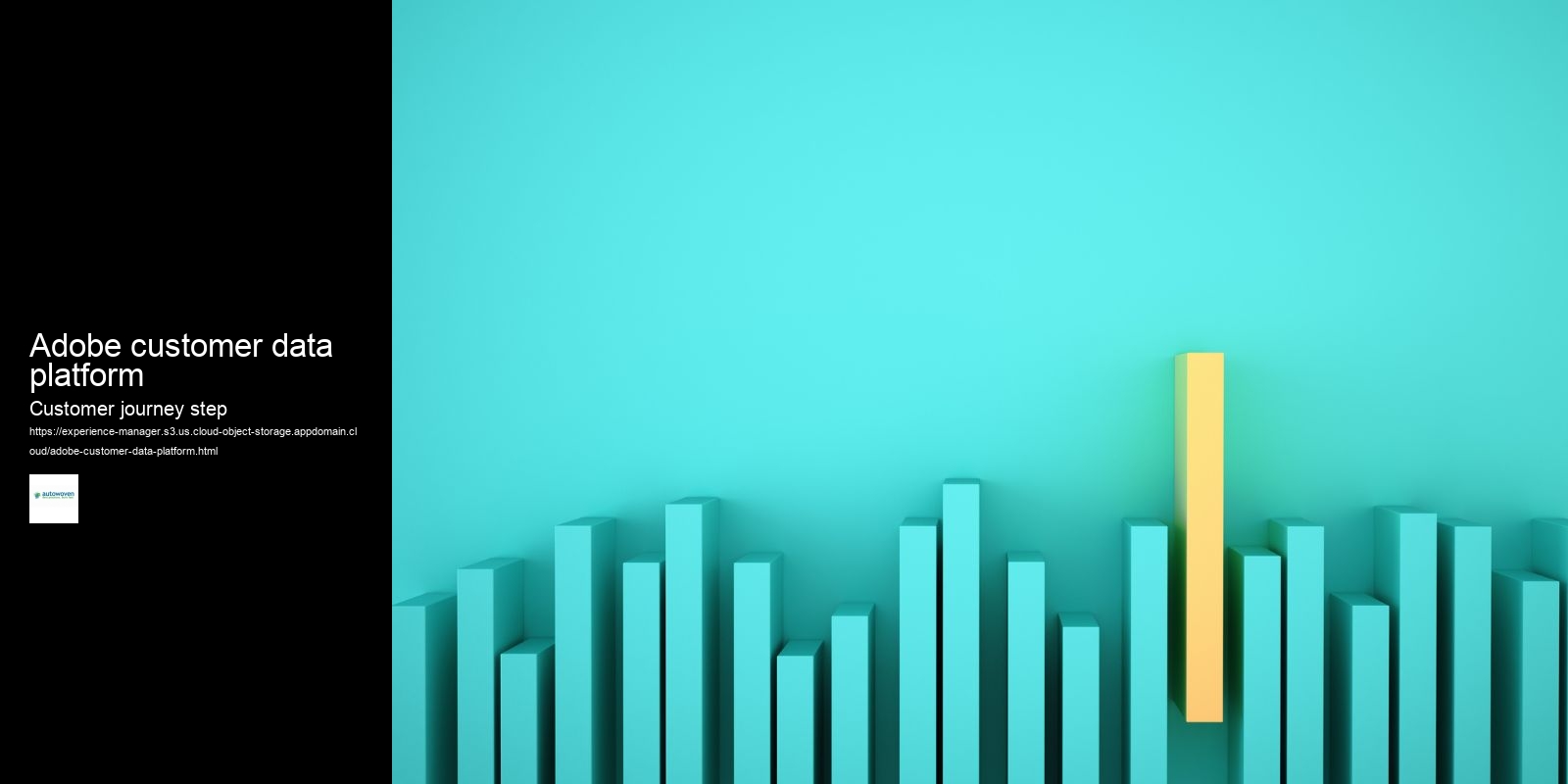 Adobe customer data platform