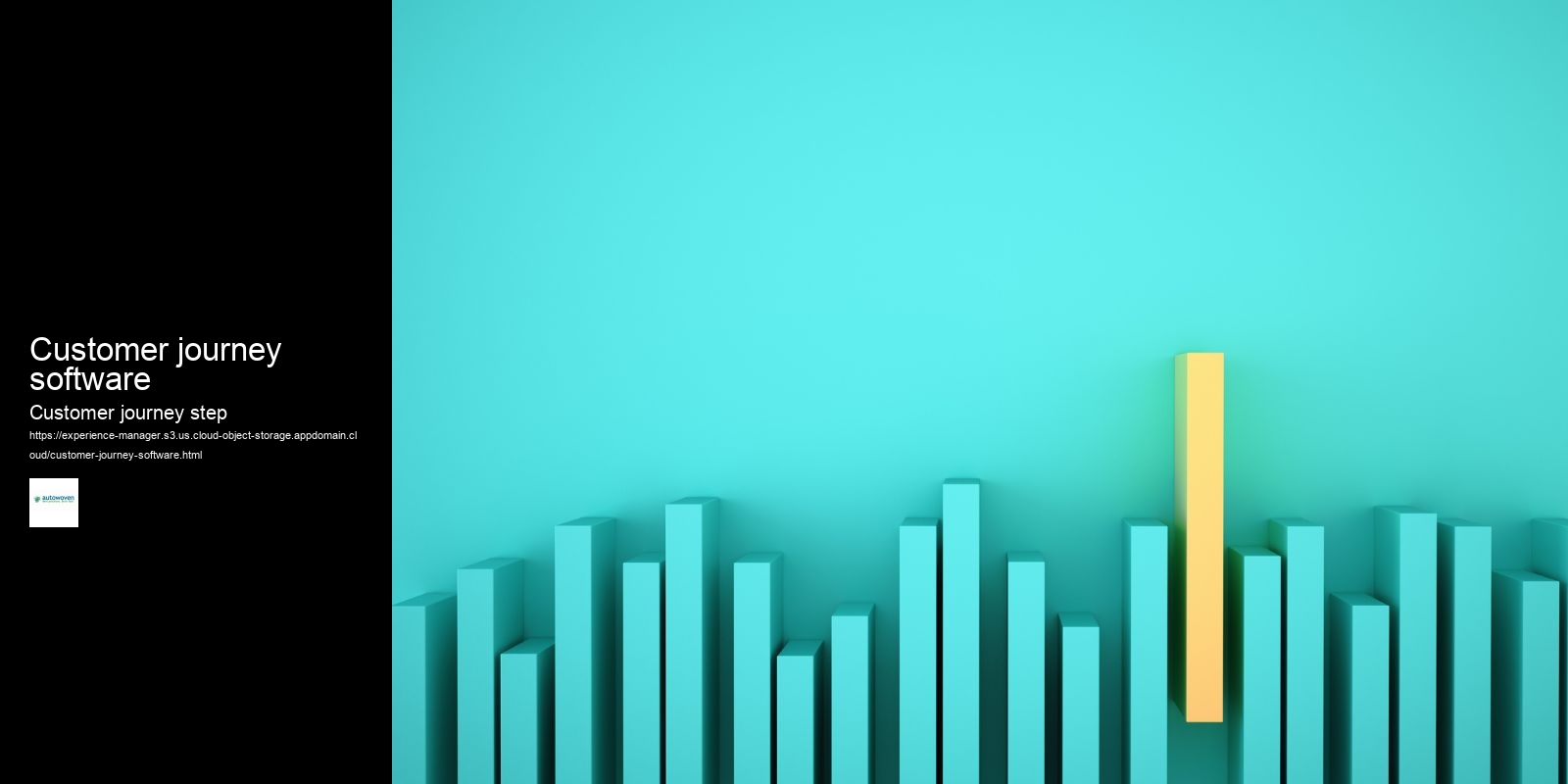 Customer journey software